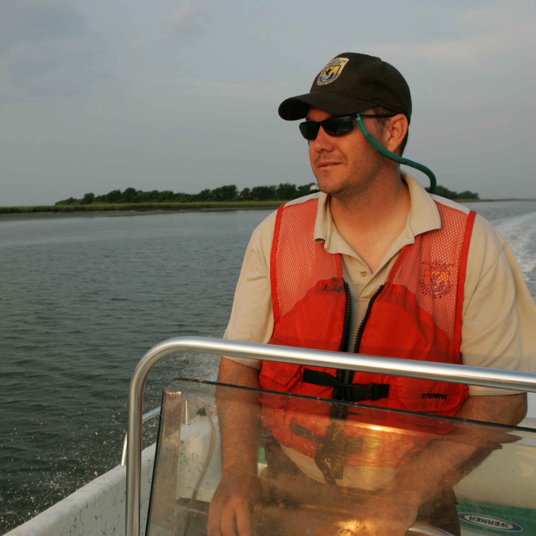 Gráficas transferencias masivas (10)