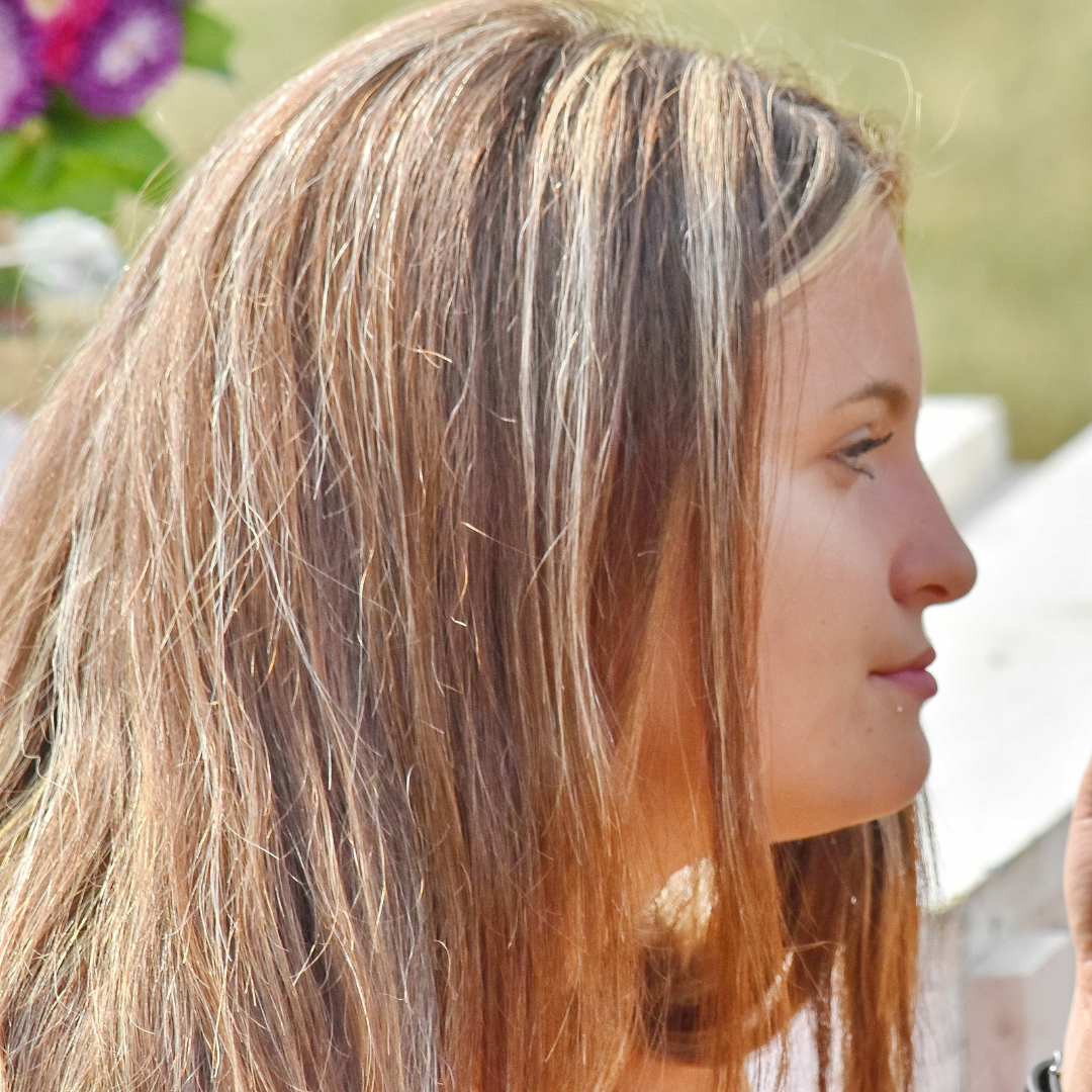 Gráficas transferencias masivas (11)